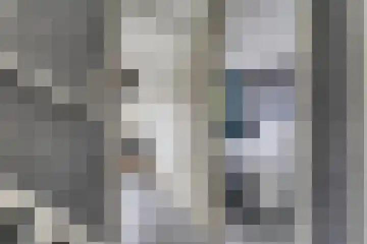 Papaverhof 43 Barneveld thumbnail 12