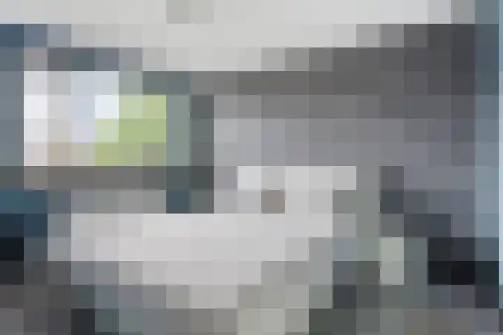 Papaverhof 43 Barneveld thumbnail 13