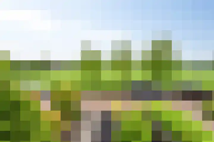Papaverhof 43 Barneveld thumbnail 17