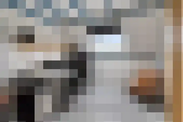 Papaverhof 43 Barneveld thumbnail 22