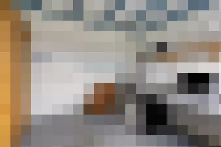 Papaverhof 43 Barneveld thumbnail 23