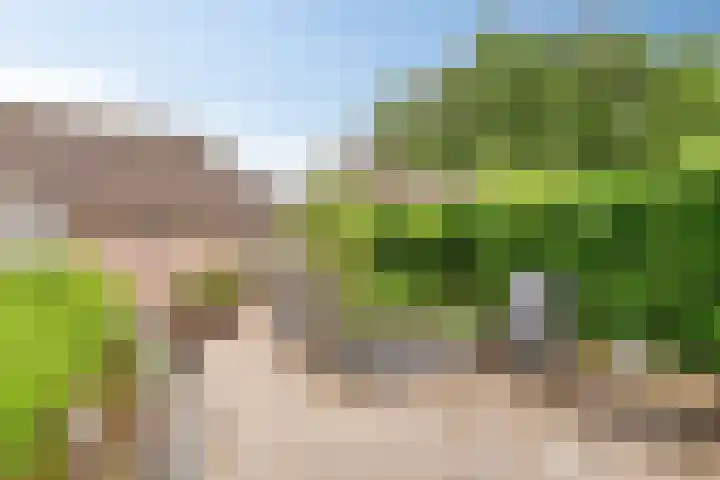 Papaverhof 43 Barneveld thumbnail 24