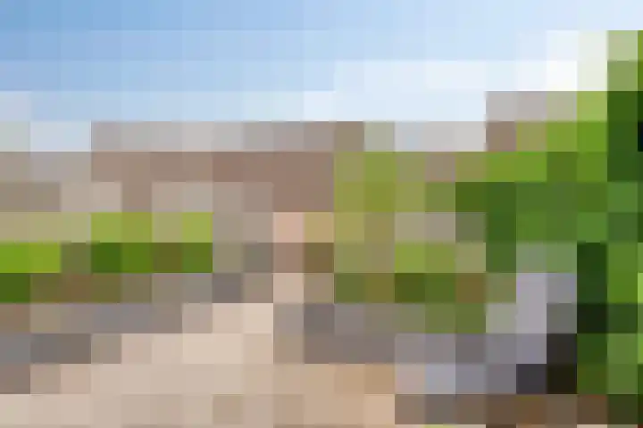 Papaverhof 43 Barneveld thumbnail 25