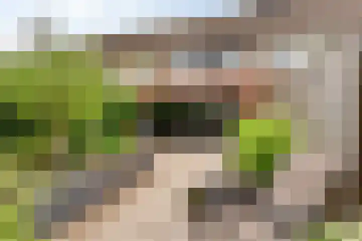 Papaverhof 43 Barneveld thumbnail 27