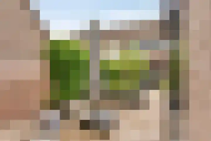 Papaverhof 43 Barneveld thumbnail 28