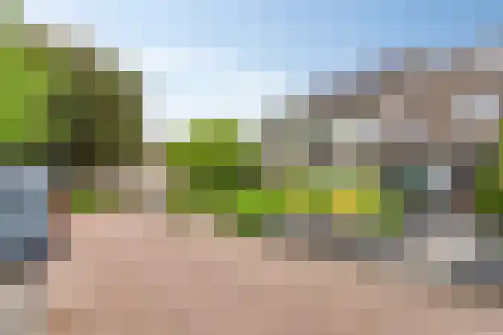 Papaverhof 43 Barneveld thumbnail 30