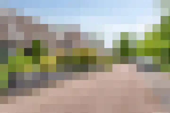 Papaverhof 43 Barneveld thumbnail 31