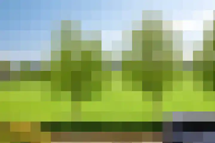 Papaverhof 43 Barneveld thumbnail 32