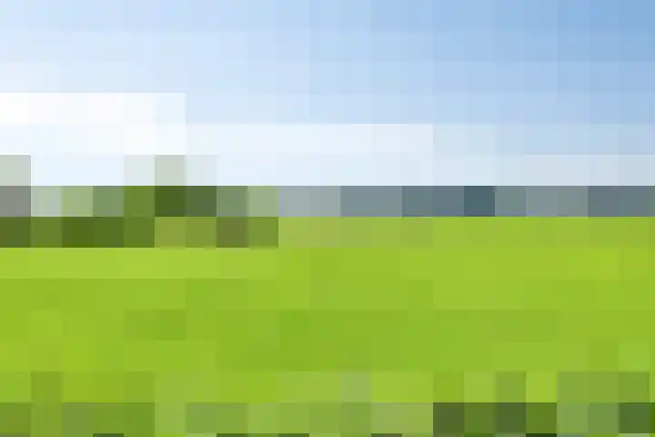Papaverhof 43 Barneveld thumbnail 33