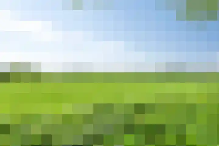 Papaverhof 43 Barneveld thumbnail 34