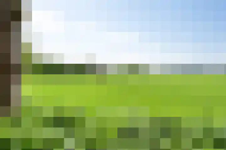 Papaverhof 43 Barneveld thumbnail 35