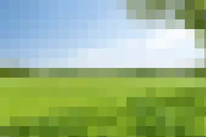 Papaverhof 43 Barneveld thumbnail 36