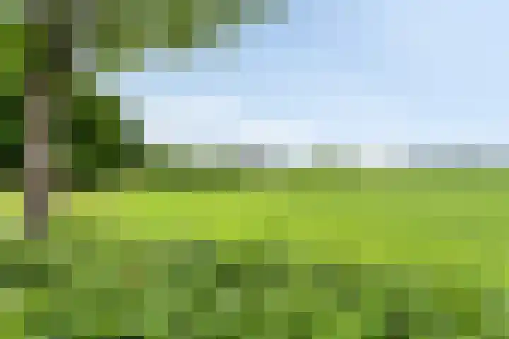 Papaverhof 43 Barneveld thumbnail 37