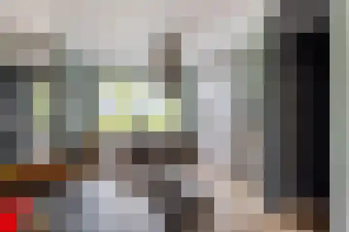 Papaverhof 43 Barneveld thumbnail 8