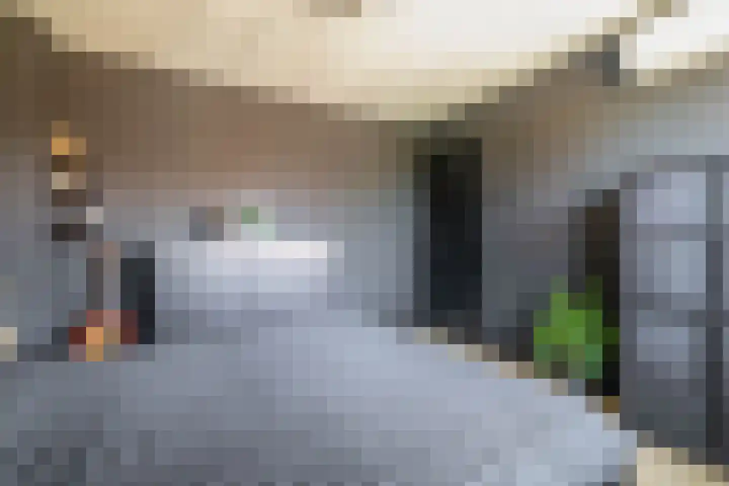Papaverhof 5 Krimpen aan de Lek thumbnail 20