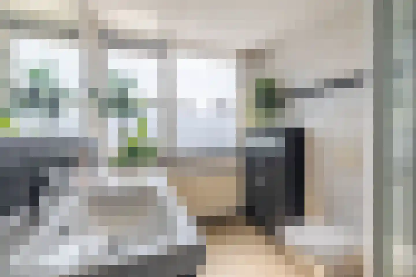 Papaverhof 5 Krimpen aan de Lek thumbnail 22
