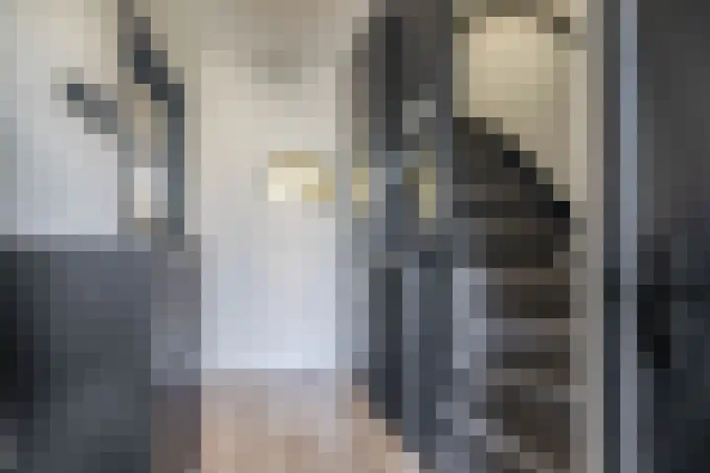 Papaverhof 5 Krimpen aan de Lek thumbnail 9