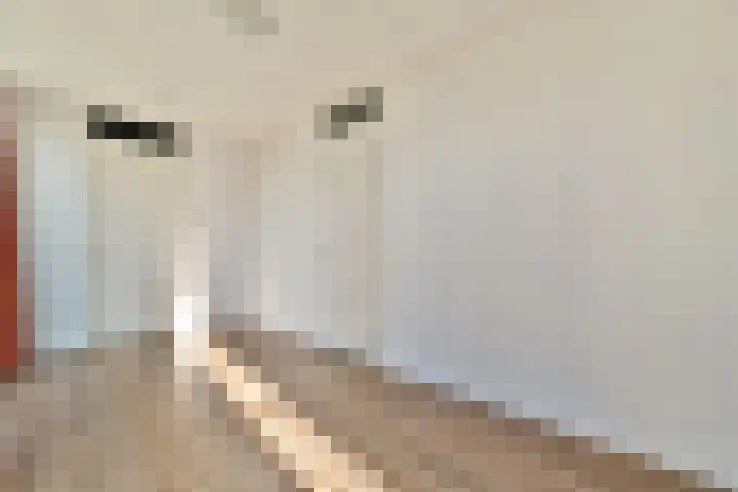 Papaverhof 54 Amsterdam thumbnail 15