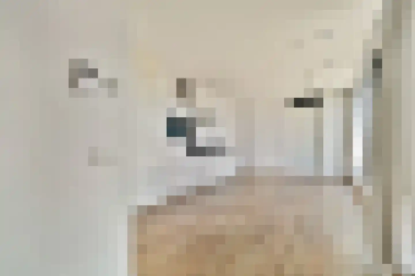 Papaverhof 54 Amsterdam thumbnail 9