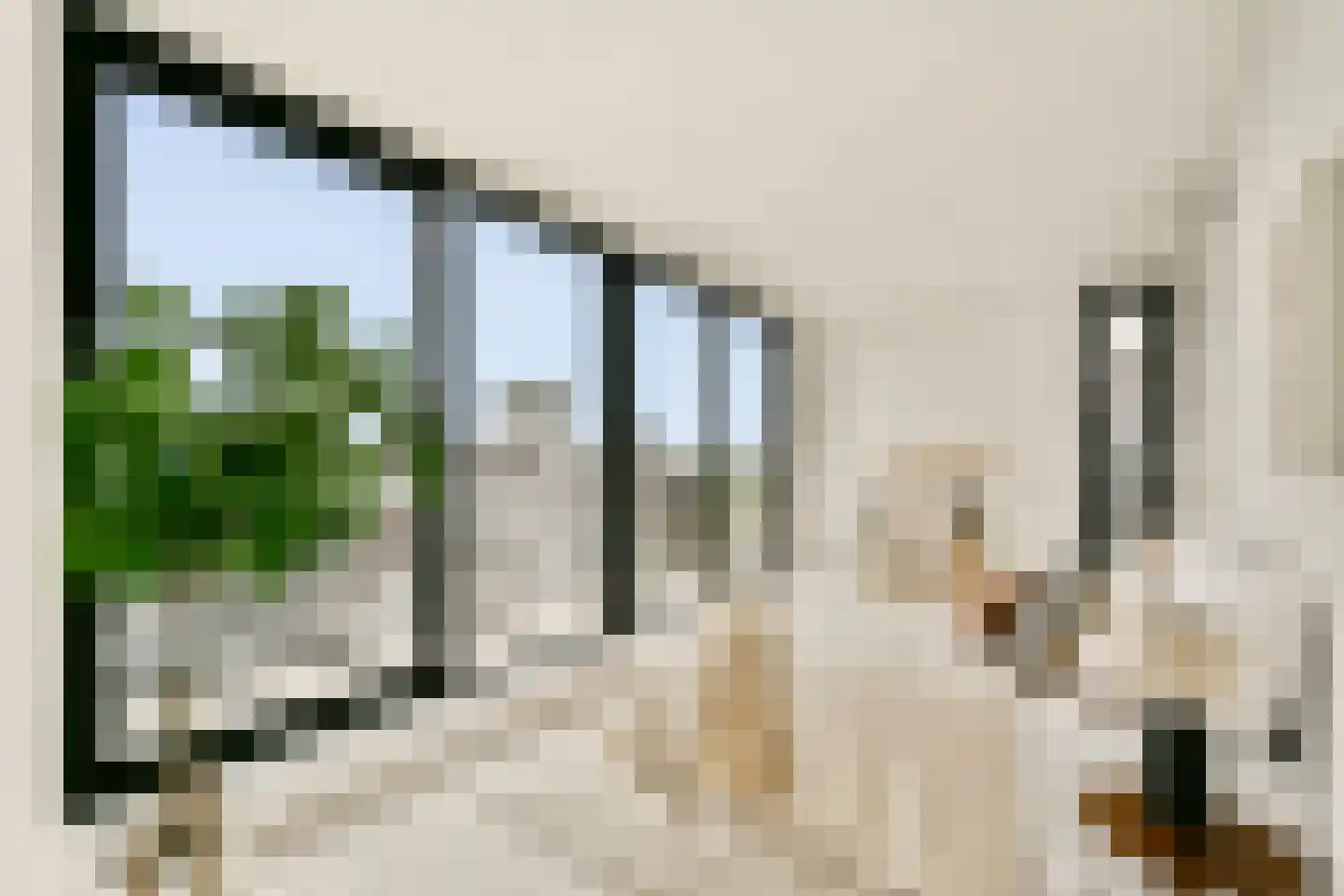 Papaverhof 55 Amsterdam thumbnail 10