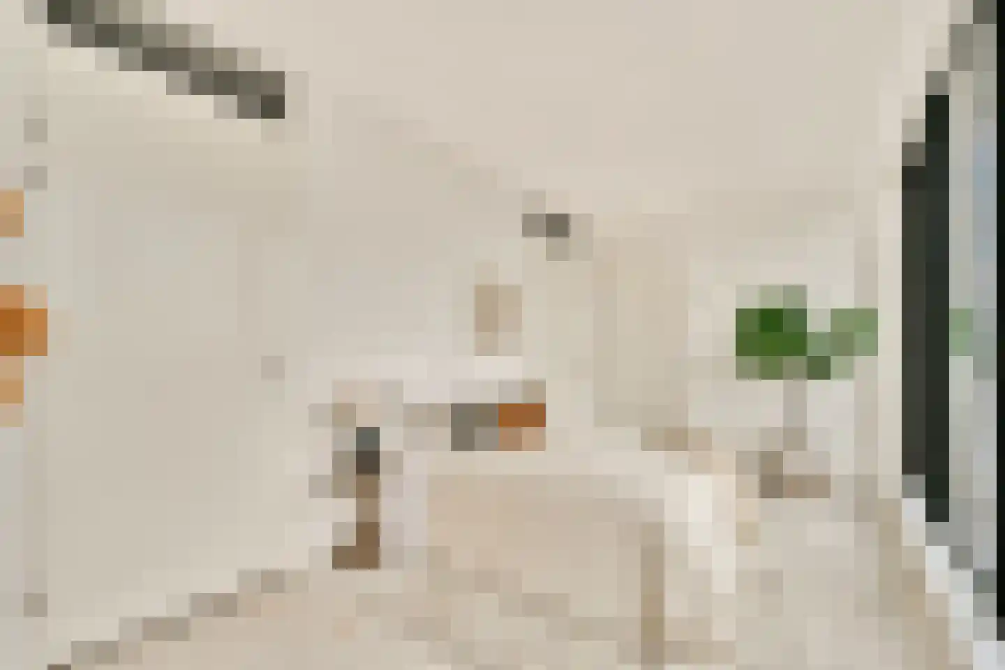 Papaverhof 55 Amsterdam thumbnail 11