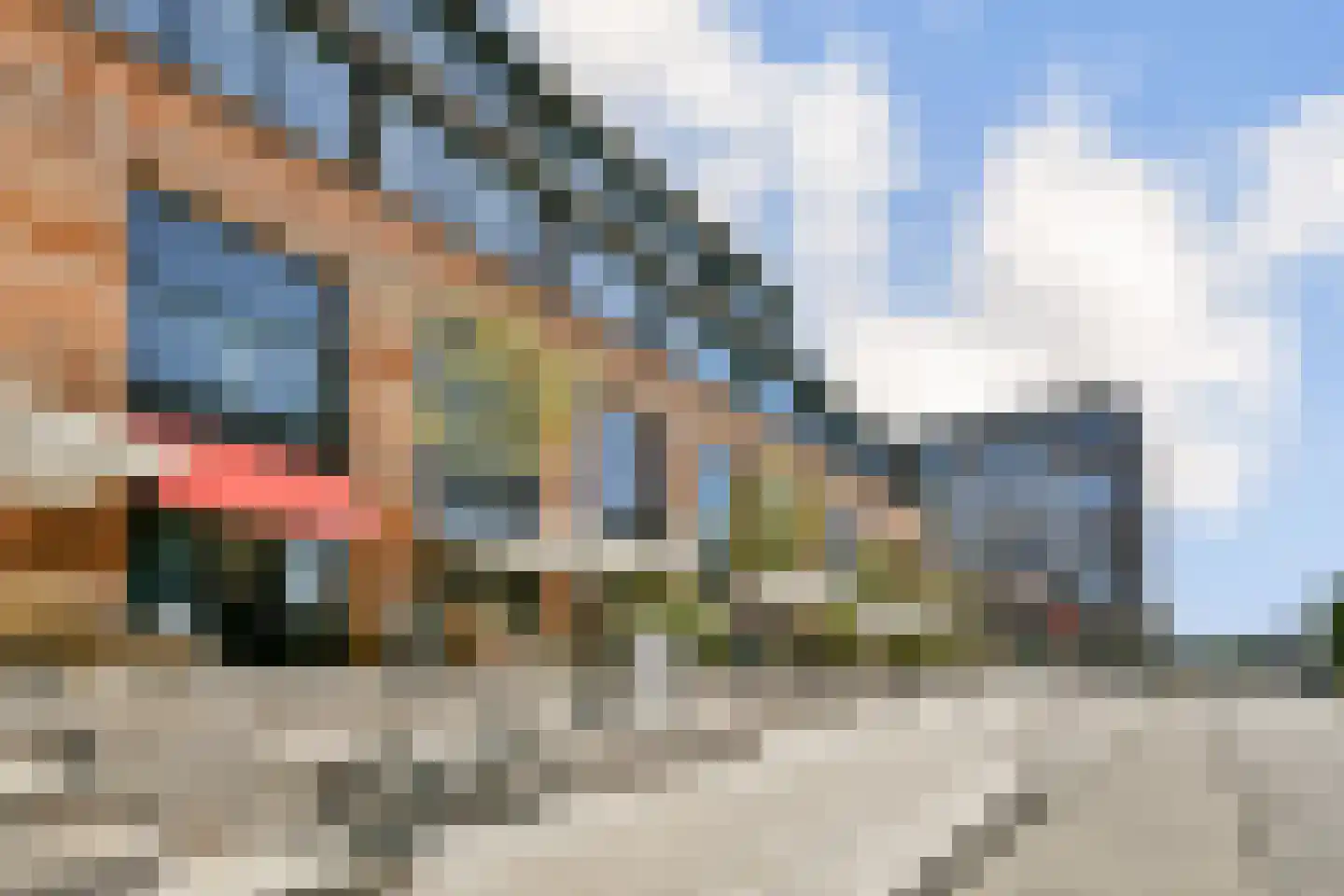 Papaverhof 55 Amsterdam thumbnail 20