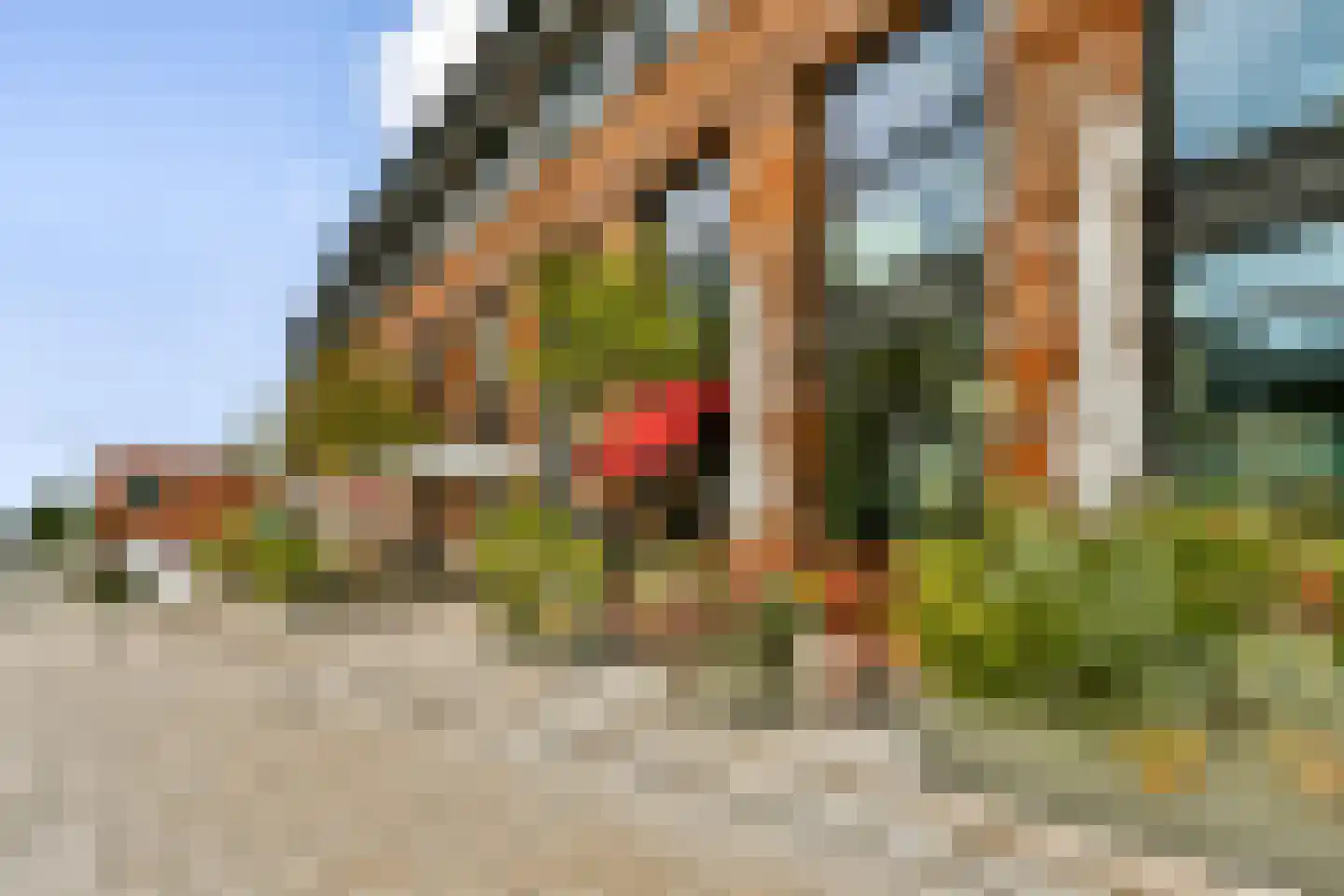 Papaverhof 55 Amsterdam thumbnail 24