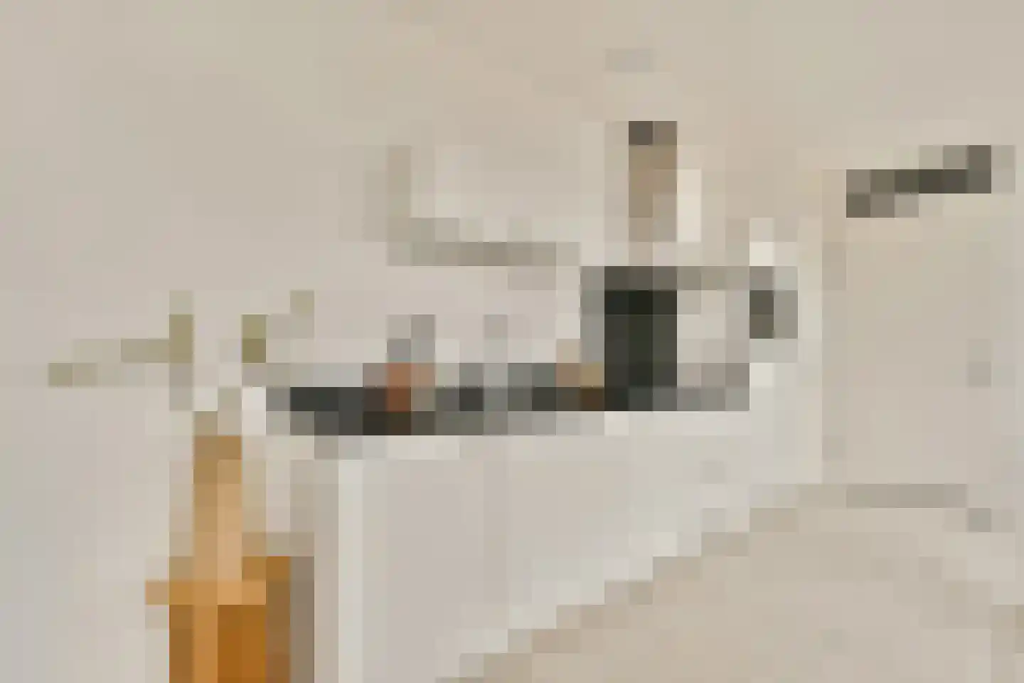 Papaverhof 55 Amsterdam thumbnail 6