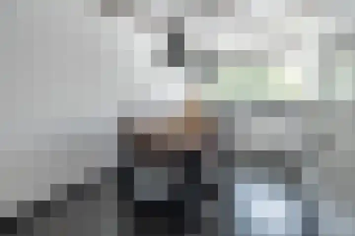 Papaverhof 6 Barneveld thumbnail 12