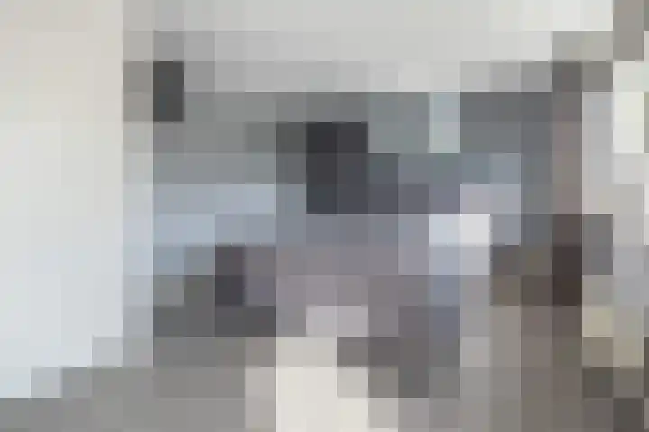 Papaverhof 6 Barneveld thumbnail 20