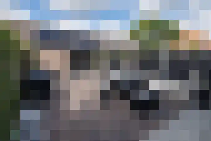 Papaverhof 6 Barneveld thumbnail 31