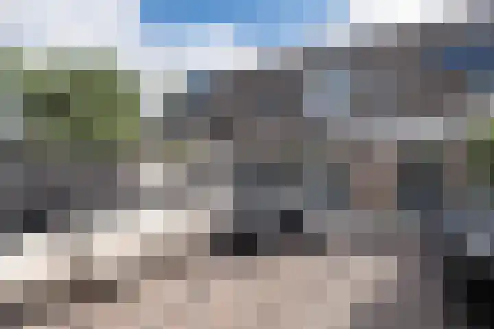 Papaverhof 6 Barneveld thumbnail 32
