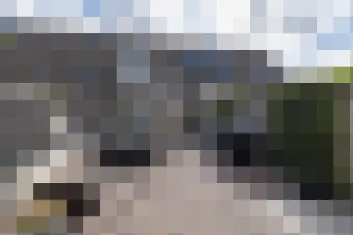 Papaverhof 6 Barneveld thumbnail 34