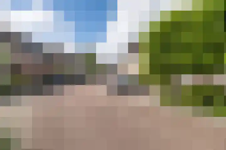 Papaverhof 6 Barneveld thumbnail 38
