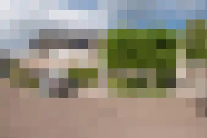 Papaverhof 6 Barneveld thumbnail 39