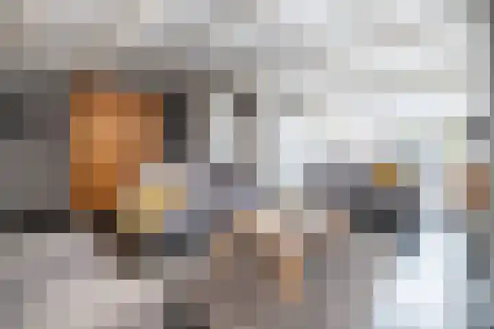 Papaverhof 6 Barneveld thumbnail 4