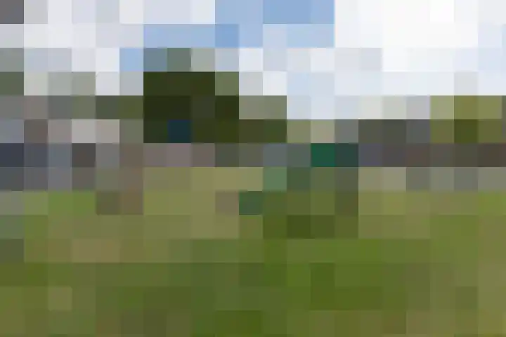 Papaverhof 6 Barneveld thumbnail 40