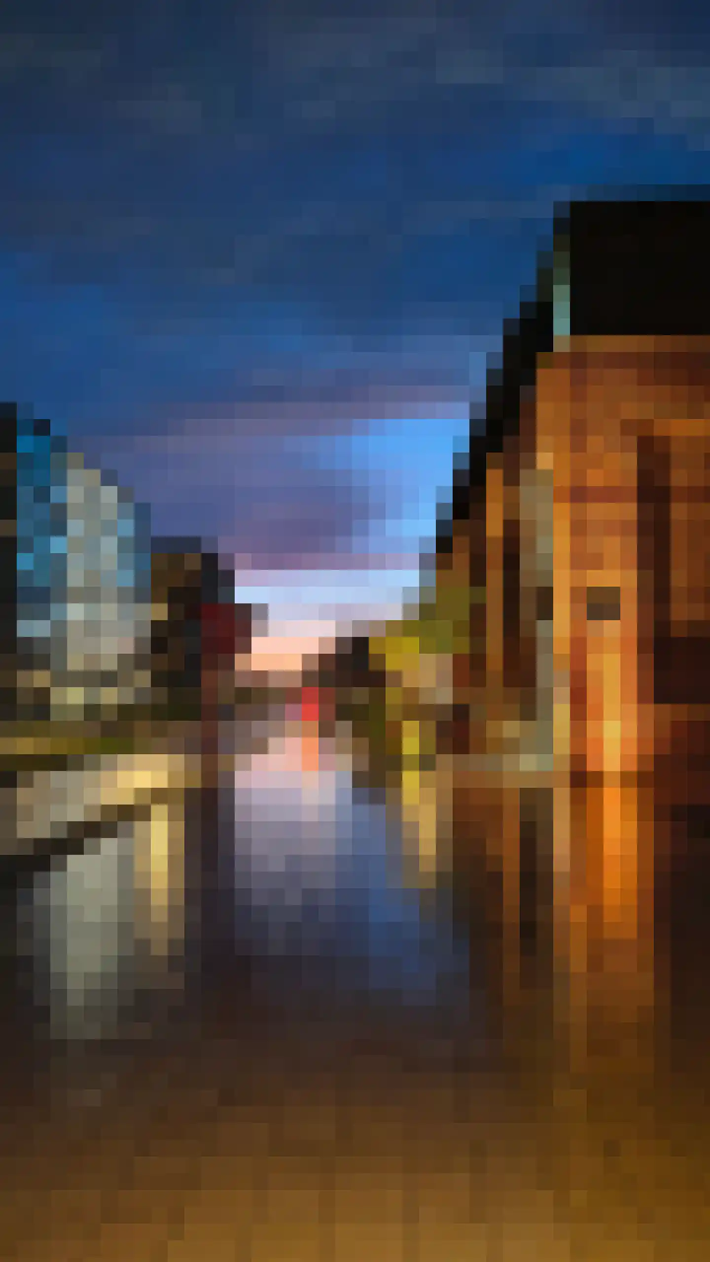 Papaverhof 63 Amsterdam thumbnail 32