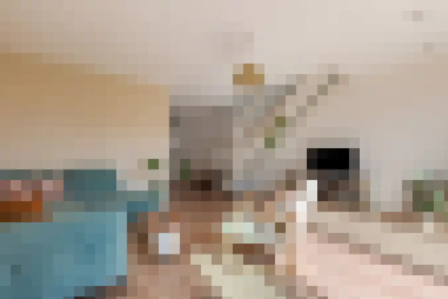 Papaverhof 63 Amsterdam thumbnail 6