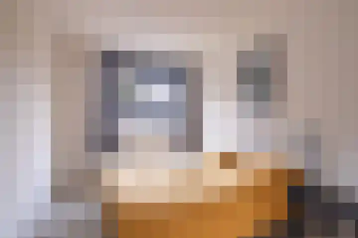 Papaverhof 7 Zwolle thumbnail 12