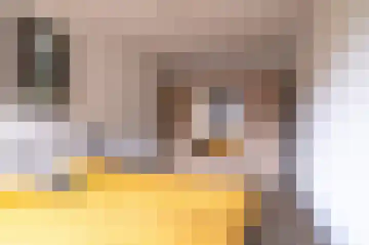 Papaverhof 7 Zwolle thumbnail 13