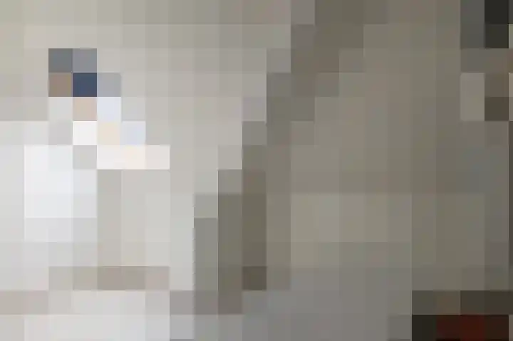 Papaverhof 7 Zwolle thumbnail 20