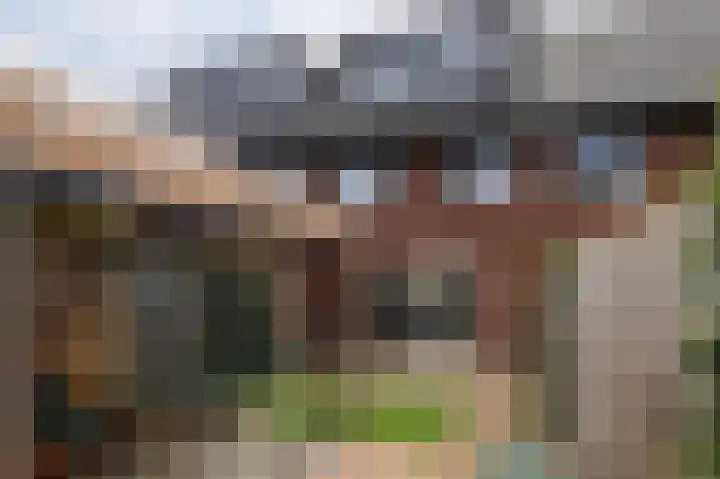 Papaverhof 7 Zwolle thumbnail 25