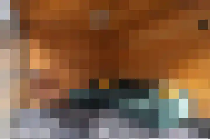 Papaverhof 7 Zwolle thumbnail 30