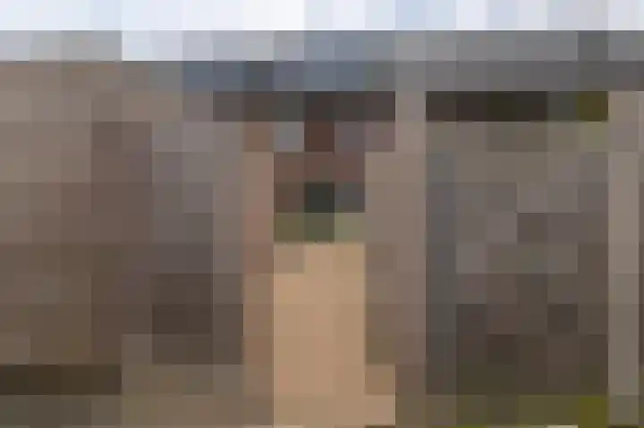 Papaverhof 7 Zwolle thumbnail 31