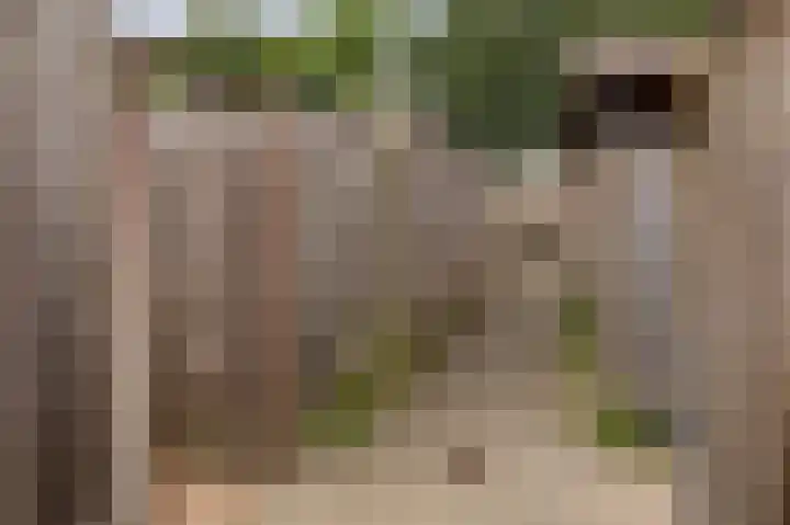 Papaverhof 7 Zwolle thumbnail 32