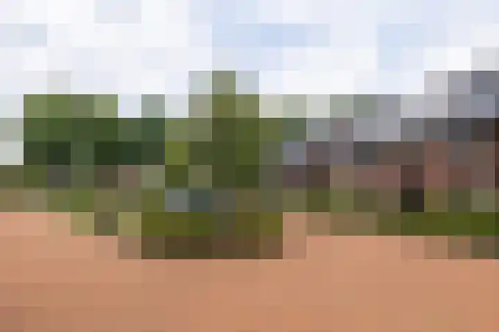 Papaverhof 7 Zwolle thumbnail 36