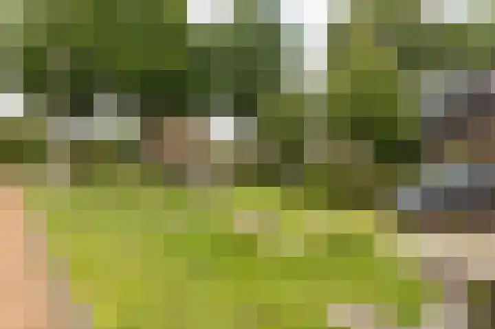 Papaverhof 7 Zwolle thumbnail 37