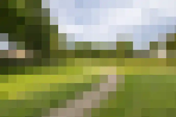 Papaverhof 7 Zwolle thumbnail 38