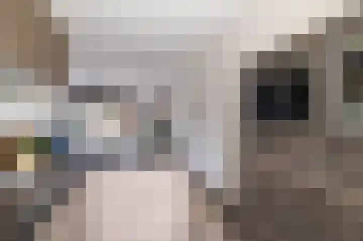 Papaverhof 7 Zwolle thumbnail 9